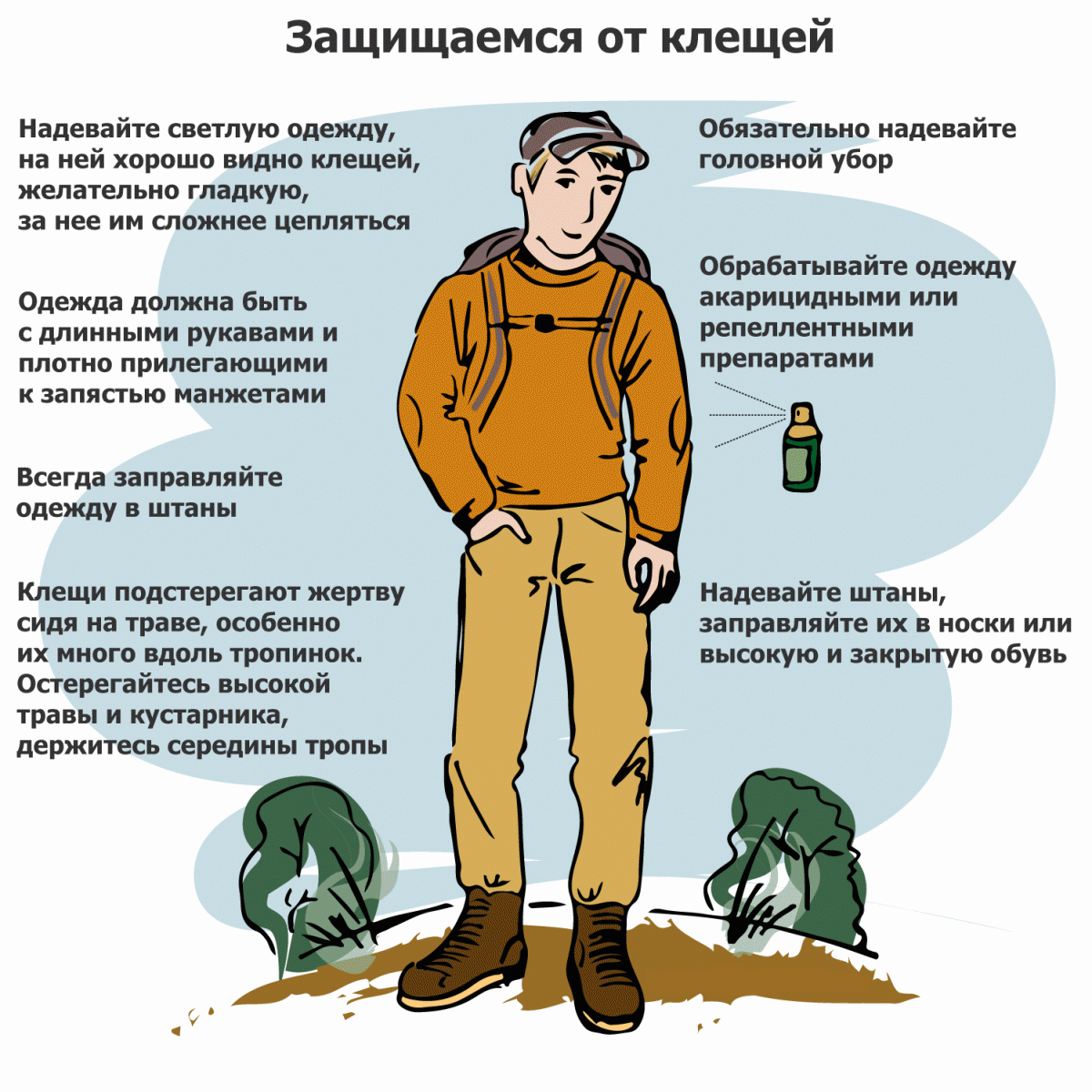 Защита от клещей рисунок