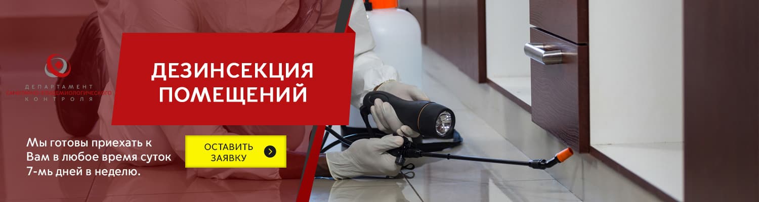Дезинсекция помещений - уничтожение насекомых в Екатеринбурге