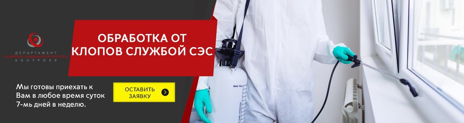 травля клопов