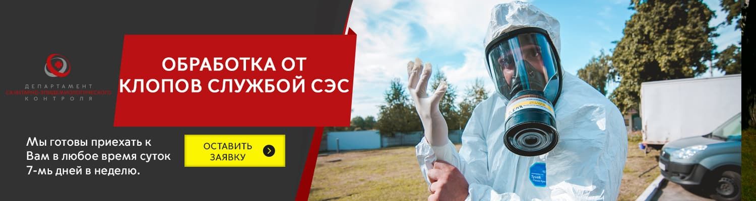 клопы в квартире сэс