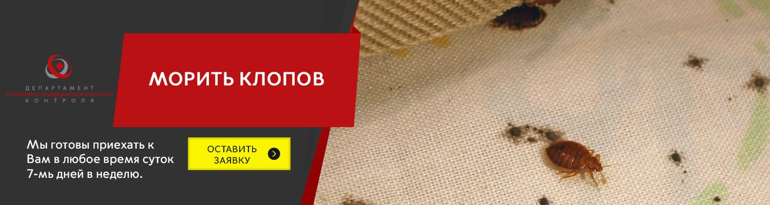 морить клопов