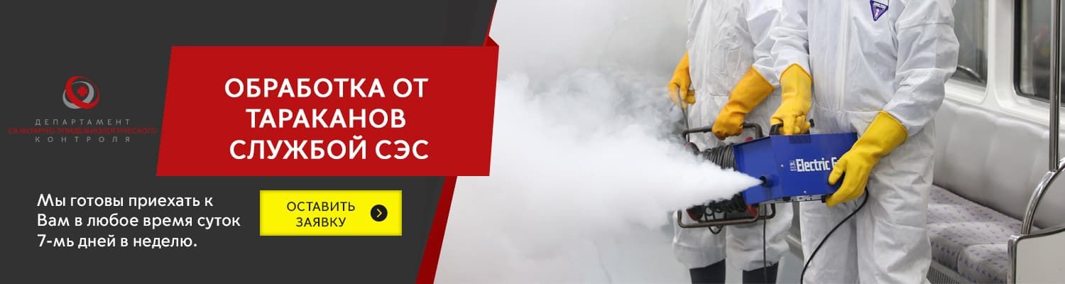 уличные тараканы возле канализации екатеринбург