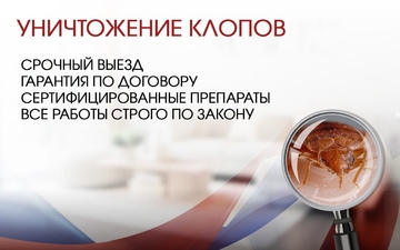 удаление клопов в квартире