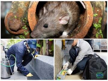 Средства борьбы с крысами