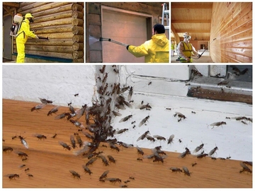 уничтожение муравьев стоимость