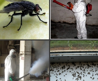 Методы борьбы с мухами